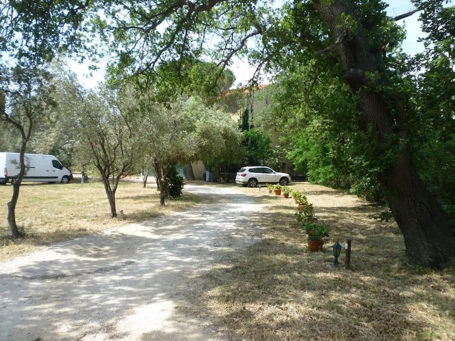 Duplex 130M2 Dans Un Mas Entoure De Vergers - Piscine Saint-Feliu-d'Avall Luaran gambar