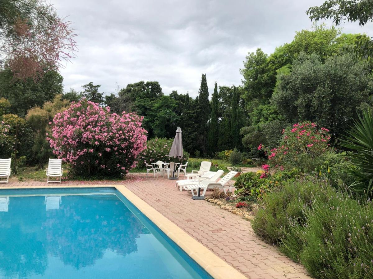 Duplex 130M2 Dans Un Mas Entoure De Vergers - Piscine Saint-Feliu-d'Avall Luaran gambar