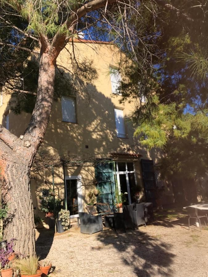 Duplex 130M2 Dans Un Mas Entoure De Vergers - Piscine Saint-Feliu-d'Avall Luaran gambar
