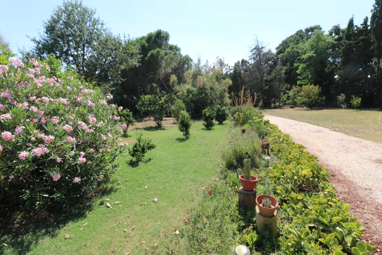 Duplex 130M2 Dans Un Mas Entoure De Vergers - Piscine Saint-Feliu-d'Avall Luaran gambar